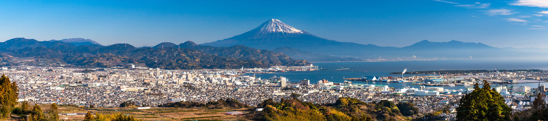 静岡の楽しみ方