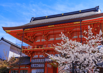 祇園祭（八坂神社）