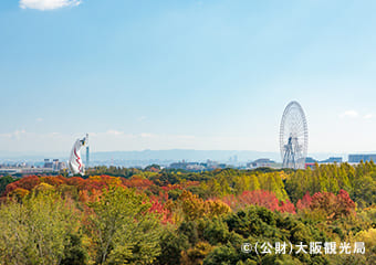 万博記念公園