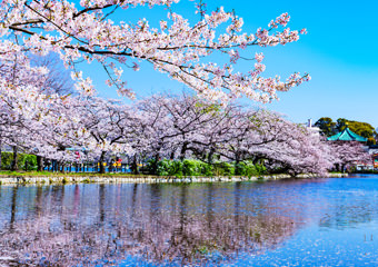 上野恩賜公園